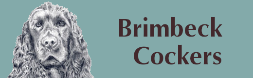 Brimbeck Cockers