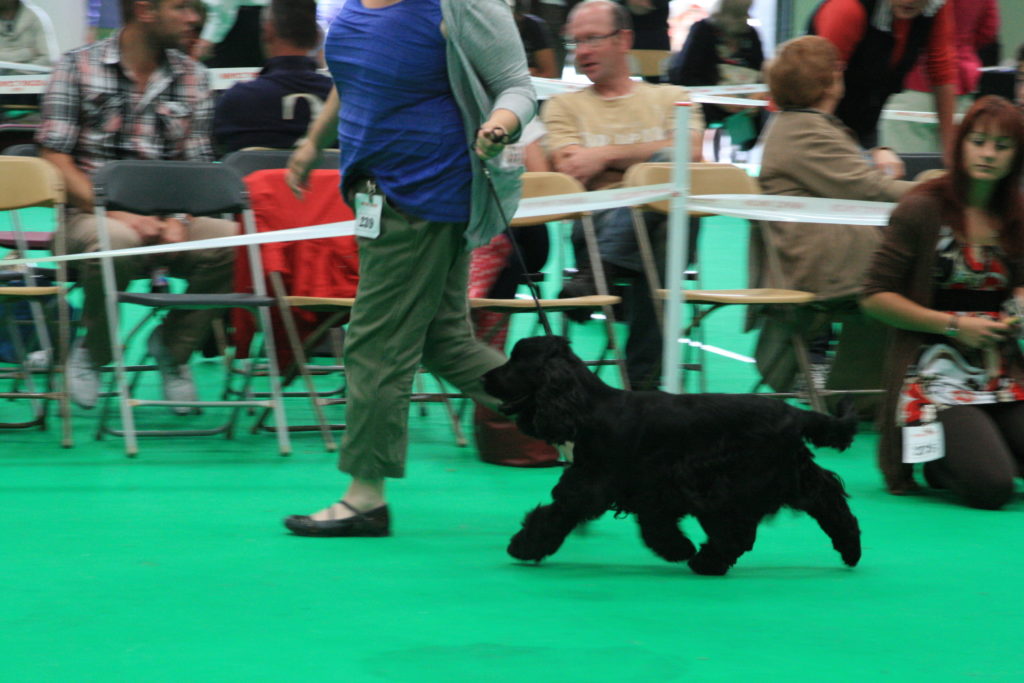 Lottie and Emily at Evesham