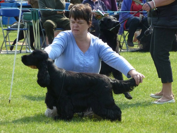 Lottie at Cheshire Cocker