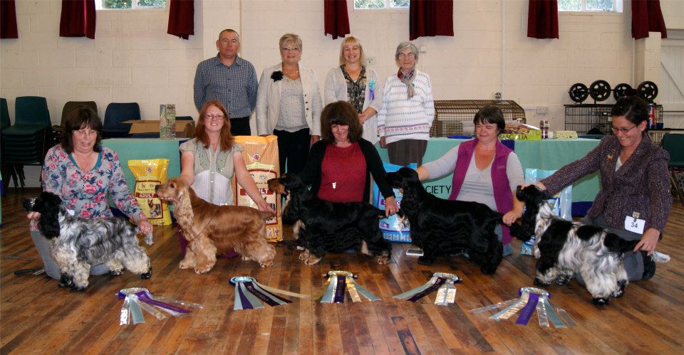 Lottie BIS and Layla Open Bitch at East Anglian Cocker Club
