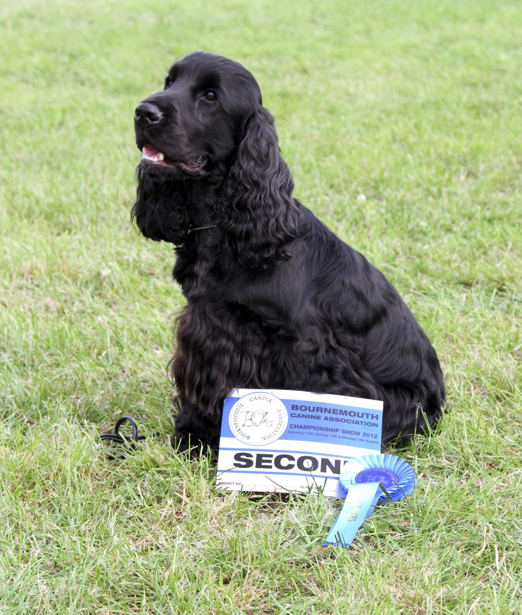 Lottie second at Bournemouth