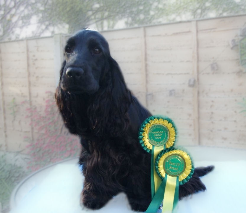 Layla at Norfolk and Norwich