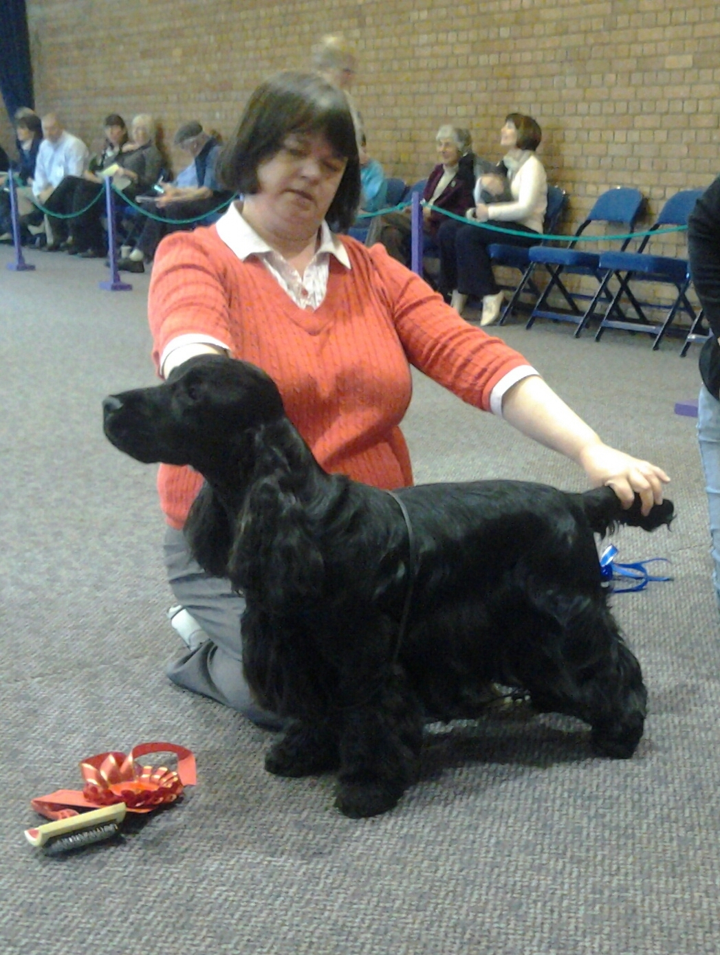 Lottie at East Anglian Champ