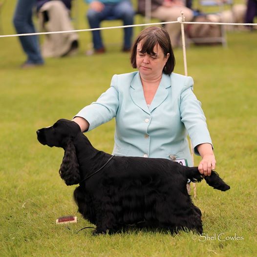 Lottie at Southern Counties