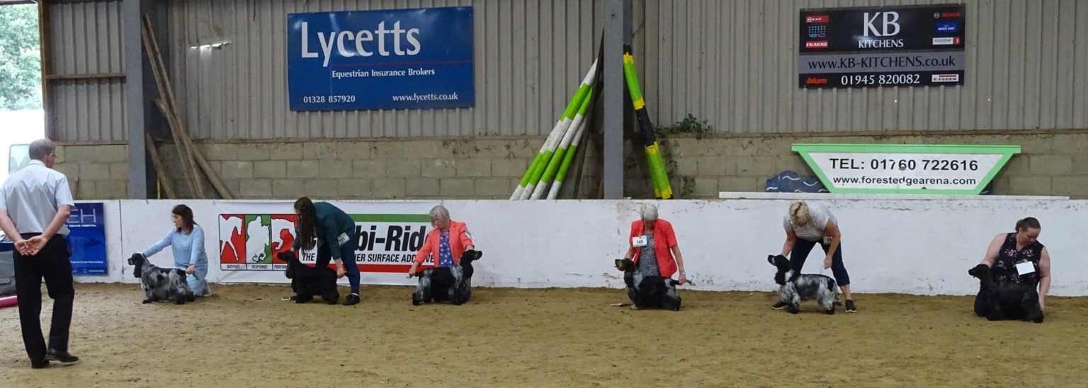 Layla at Great Yarmouth